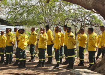 Ibama amplia brigadas federais para combater incêndios em todo o país