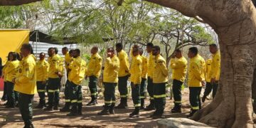 Ibama amplia brigadas federais para combater incêndios em todo o país