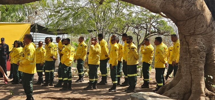Ibama amplia brigadas federais para combater incêndios em todo o país