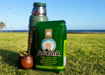 Chimarrão com cannabis medicinal repercute no RS e gera discussão pública