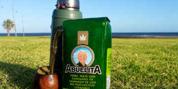 Chimarrão com cannabis medicinal repercute no RS e gera discussão pública
