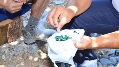 Depósito de esmeraldas no solo de Campo Verdes (GO) é avaliado em US$ 5 bi.