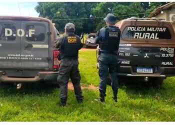 PMMS recupera 34 cabeças de gado furtadas durante ação integrada em Maracaju e Dois Irmãos do Buriti