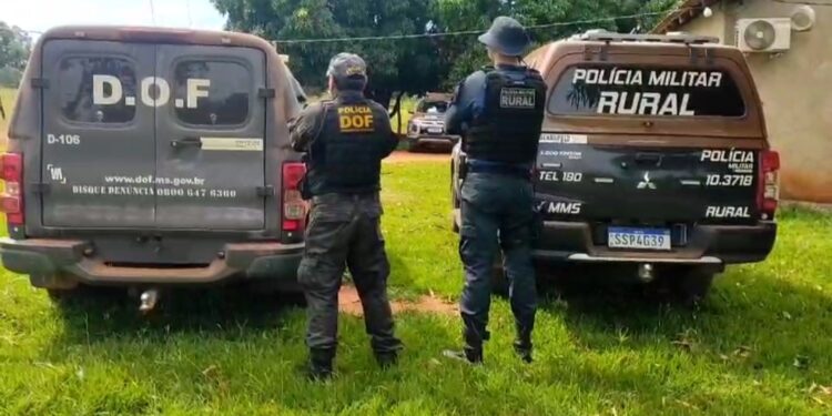 PMMS recupera 34 cabeças de gado furtadas durante ação integrada em Maracaju e Dois Irmãos do Buriti