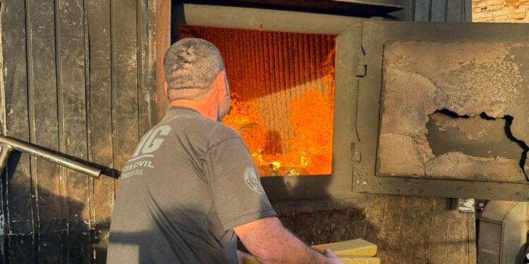 Polícia Civil incinera mas de 500kg de drogas em Batayporã