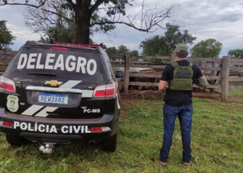 Operação Protetor: Polícia Civil recupera 67 cabeças de gado furtadas e prende dois receptadores em flagrante