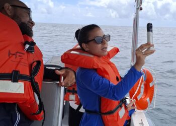 Projeto mapeia fauna marinha da Bahia por meio do DNA ambiental