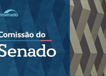 Ao vivo: Comissão debate medida sobre o piso salarial do magistério - 14/5/26