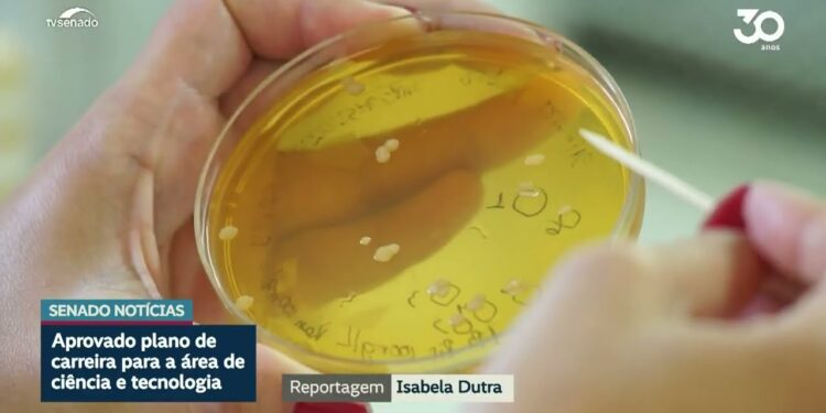 Aprovado projeto que amplia carreiras da área de Ciência e Tecnologia