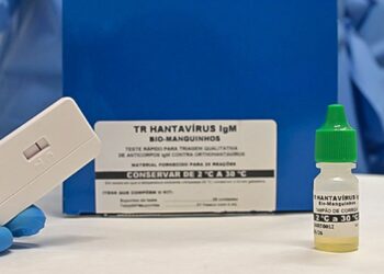 Brasil não tem circulação do hantavírus que causou surto em navio