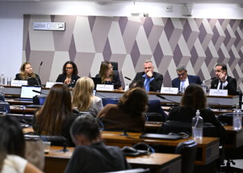Conceito e questões de saúde contrapõem debatedores sobre ultraprocessados
