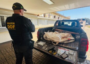 Ladrão de Hilux morre em confronto com o DOF na MS-165
