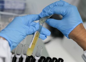 Fiocruz conquista patente contra malária nos Estados Unidos