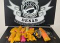 Investigação da Polícia Civil leva à apreensão de drogas enviada por transportadora em Campo Grande