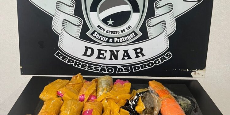 Investigação da Polícia Civil leva à apreensão de drogas enviada por transportadora em Campo Grande