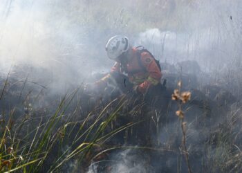MS intensifica manejo do fogo para evitar incêndios florestais