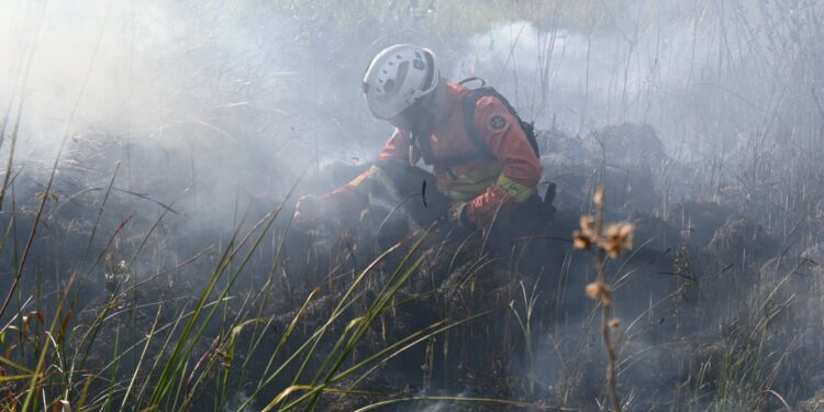 MS intensifica manejo do fogo para evitar incêndios florestais