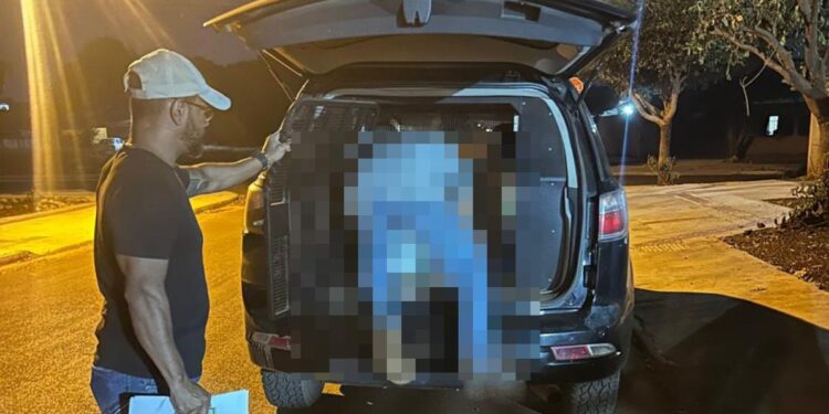 Operação Caminhos Seguros: Polícia Civil prende condenado por estupro de vulnerável em Dourados