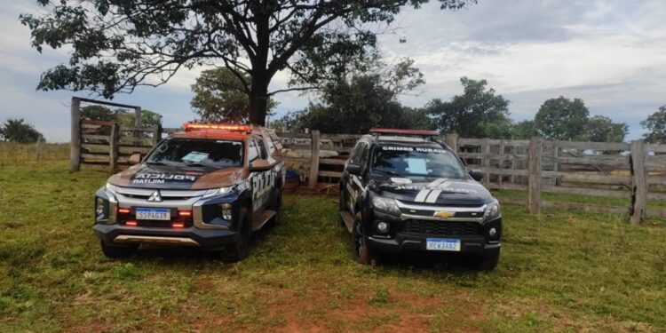 Operação conjunta da Polícia Militar recupera 64 cabeças de gado em Dois irmãos do Buriti