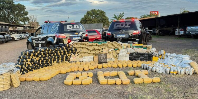 Polícia Civil apreende mais de 880 quilos de drogas e prende foragido da justiça em Campo Grande