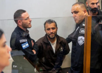 Lula cobra libertação de ativista brasileiro preso por Israel