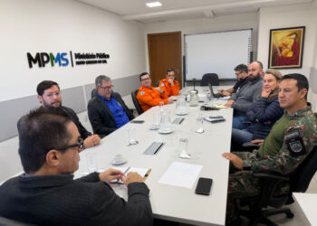 MPMS intensifica combate a incêndios no Pantanal