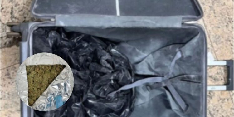Garçom preso com 20 kg de maconha em aeroporto de Campo Grande