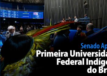 Senado Aprova: Primeira Universidade Federal Indígena do Brasil