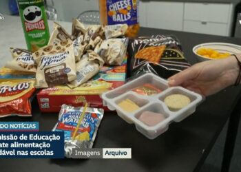 Venda de alimentos industrializados em escolas divide especialistas em audiência