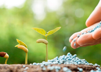As análises de fertilizantes, corretivos, condicionadores, substratos e resíduos com potencial de uso agrícola asseguram ao agricultor que as quantidades recomendadas e aplicadas irão suprir as necessidades das plantas para os nutrientes presentes no fertilizante, que o corretivo irá produzir o efeito desejado, e a ausência de contaminantes que possam acumular no solo.