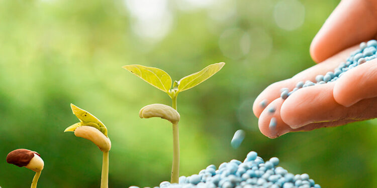As análises de fertilizantes, corretivos, condicionadores, substratos e resíduos com potencial de uso agrícola asseguram ao agricultor que as quantidades recomendadas e aplicadas irão suprir as necessidades das plantas para os nutrientes presentes no fertilizante, que o corretivo irá produzir o efeito desejado, e a ausência de contaminantes que possam acumular no solo.