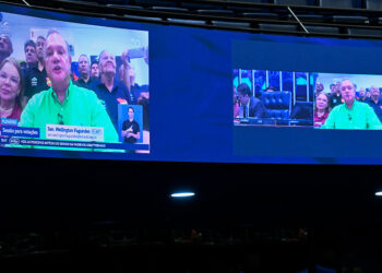 Senador Wellington Dias (PT-PI) em pronunciamento via videoconferência.