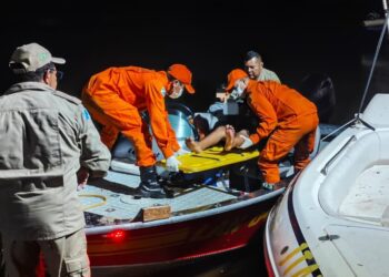 Bombeiros vencem neblina e salvam menino após ataque de jararaca