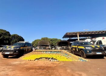 PRF apreende quase 600 kg de cocaína em Campo Grande