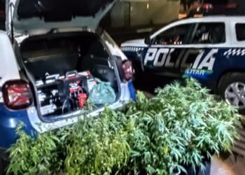 PM encontra estufas de maconha e armas em ocorrência de possível suicídio