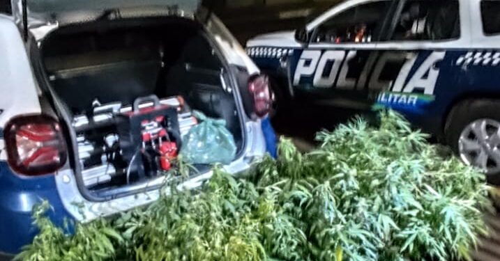 PM encontra estufas de maconha e armas em ocorrência de possível suicídio