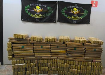 Carga de maconha é apreendida pelo DOF em Nova Andradina