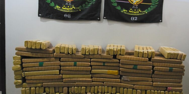 Carga de maconha é apreendida pelo DOF em Nova Andradina