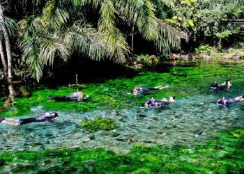 Acordos reforçam preservação ambiental em Bonito