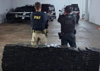 PRF e PM interceptam carregamento de maconha em Nova Andradina