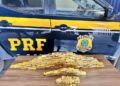 PRF atinge marca recorde no enfrentamento ao crime ambiental