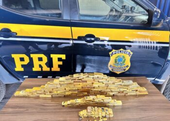 PRF atinge marca recorde no enfrentamento ao crime ambiental