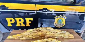 PRF atinge marca recorde no enfrentamento ao crime ambiental