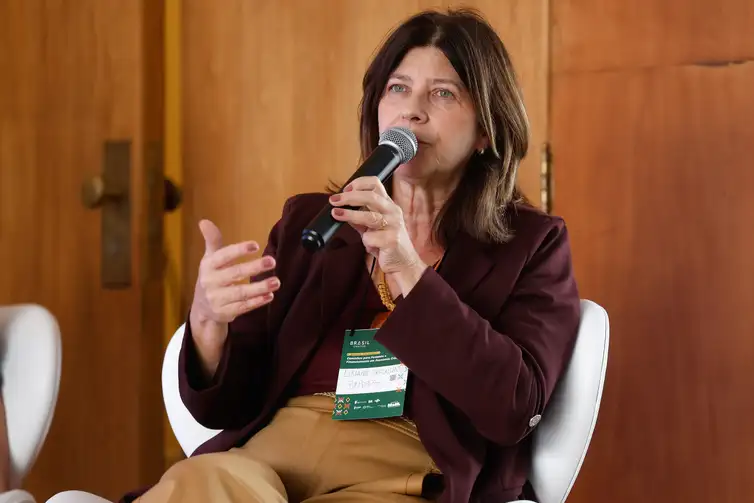 Tânia Rêgo/Agência Brasil Rio de Janeiro (RJ), 16/06/2026 - Luciane Fernandes, Gorgulho, economista do BNDES, fala durante Seminário Internacional Caminhos para Fomento e Financiamento em Economia Criativa , no Edifício Palácio Gustavo Capanema, centro da cidade. Foto: Tânia Rêgo/Agência Brasil