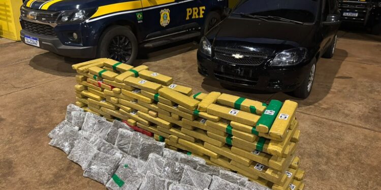 Ação da PRF resulta em apreensão de maconha e skunk na MS