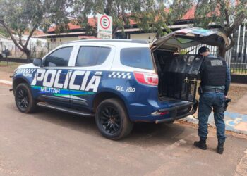 Canil da PM prende dupla armada com facão após assalto