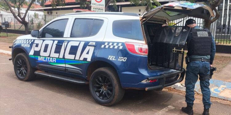 Canil da PM prende dupla armada com facão após assalto