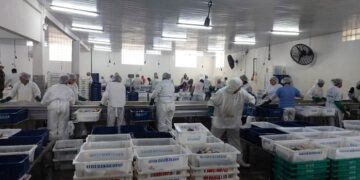 Operação Mugil combate pesca predatória