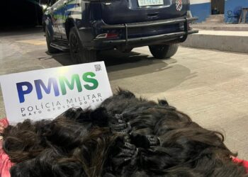 PM intercepta carga de cabelo humano ilegal em Corumbá