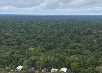 Antônia Soares traz a força da floresta ao Viva Maria